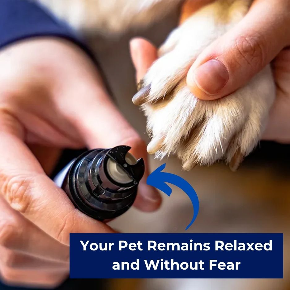 🐾 GentlePaw™ Dog Nail Grinder & Trimmer
