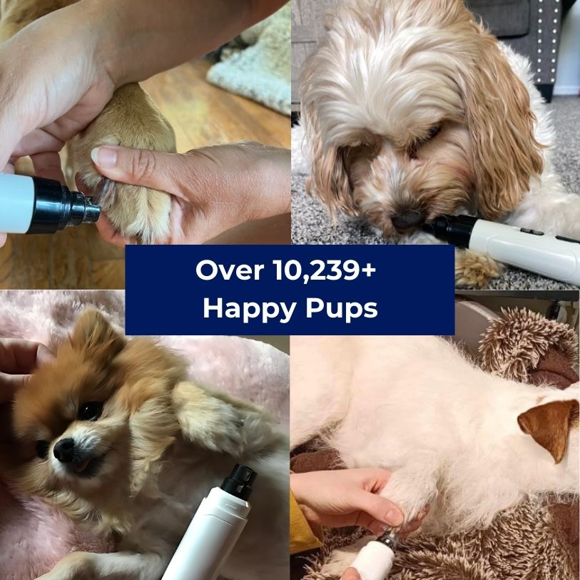 🐾 GentlePaw™ Dog Nail Grinder & Trimmer